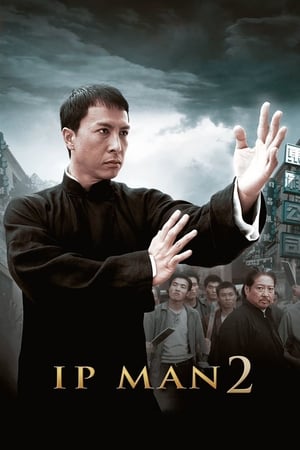 Ip Man 2 (2010) Hindi Dual Audio 350MB