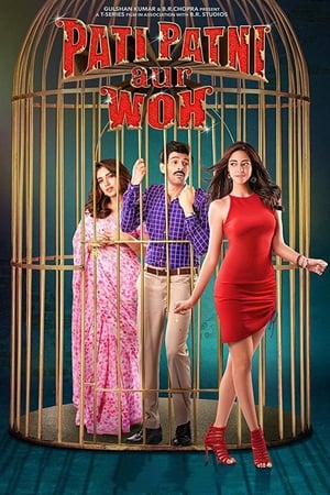 Pati Patni Aur Woh 2019 Hindi Movie [1.2GB]